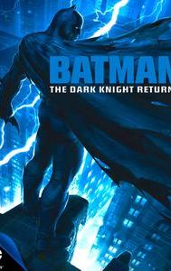 Batman: The Dark Knight Returns (film)