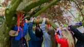 Emotional tributes to Darlington schoolgirl Scarlett as memorial tree unveiled