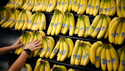Chiquita Brands International anuncia que apelará el veredicto que la declaró responsable de financiar a paramilitares en Colombia