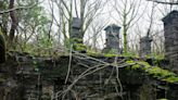 Forgotten overgrown village reclaimed by nature is like UK's 'Angkor Wat'