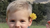 Who is Emile Soleil? Everything we know on search for missing French 2-year-old