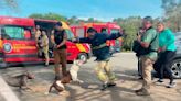 Pitbulls soltos atacam jovem e bombeiros em parque | TNOnline