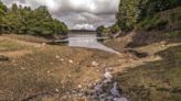 Wetlands ‘must be restored on enormous scale’ to cope with more droughts