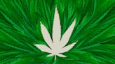 Medical marijuana and recreational cannabis legal in these states on 4/20