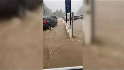 Dollywood patrons wade through knee-deep water as theme park floods