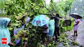 100 trees tumble in 15 minutes at Maina-Consua | Goa News - Times of India