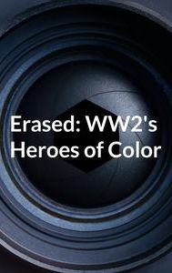 Erased: WW2's Heroes of Color