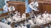 Video: PM Modi Offers Glass Of Water To Oppn MPs Protesting During His Lok Sabha Speech