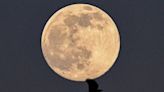 Así puedes ver el próximo eclipse lunar de la luna de gusano