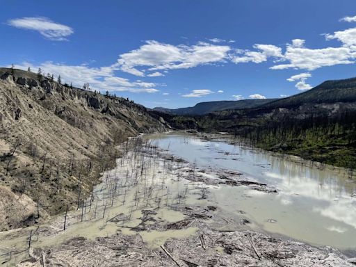 In the news: Canada nabs bronze men's in swimming, B.C. landslide assessment planned