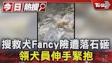 搜救犬Fancy險遭落石砸 領犬員伸手緊抱｜TVBS新聞 @TVBSNEWS01│TVBS新聞網