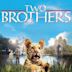 Two Brothers (2004 film)