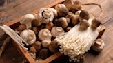 What Are the Healthiest Types of Mushrooms?