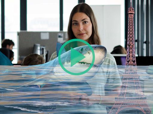 « Sous la Seine » sur Netflix : un requin à Paris, c’est vraiment possible ? Un expert nous répond