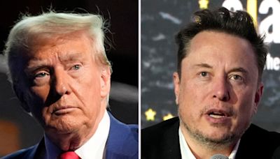 Trump y Elon Musk aspiran a desatar una nueva “destrucción creadora”