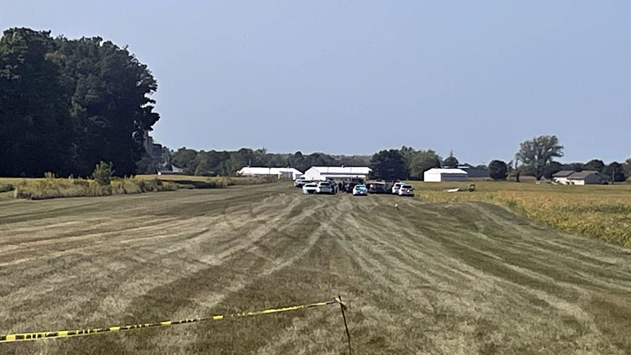 82-year-old pilot dies in single-passenger plane crash in rural Henry County