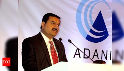 Adani Group seeks to invest $900 million in Tanzania power lines - Times of India