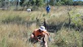 Elusive scaly creature — last seen in 1981 — rediscovered in grassland in Australia