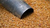 Futuros de los granos bajan por amenaza de huelga ferroviaria en EEUU y especulación sobre el trigo UE