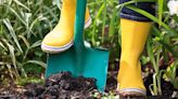 5 ways to prepare garden soil for spring – to give your new plants a boost