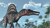 Scientists recreate brain of largest carnivorous dinosaur with fossils