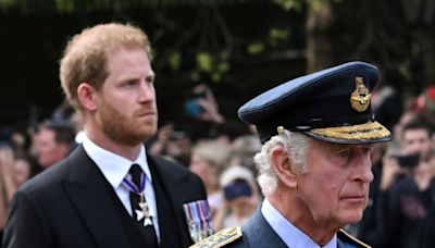 Prince Harry Fans Line Streets After King Charles Reunion Fail