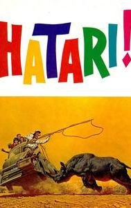 Hatari!