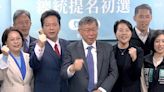 Analysis: How the Taiwan People's Party Plans an Upset in 2024 - TaiwanPlus News