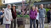 Earth Day observance at Tecumseh District Library plants trees in memory of former employee