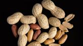 Early exposure to peanuts may ward off allergy, study suggests