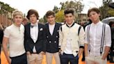 Así ha cambiado la vida de los componentes de One Direction desde que se separó el grupo