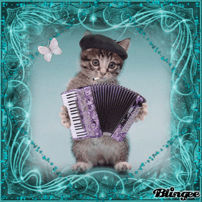 cat playing accordion in beret