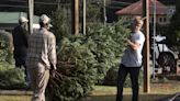 How to dispose of your Christmas tree an be kind to environment