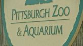 Pittsburgh Zoo & Aquarium offering overnight trips for scout troops