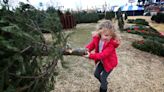 15+ places to cut, buy a live Christmas tree around Louisville in 2022