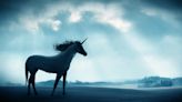 Do You Need An MBA To Found A Unicorn? History Says … Probably Not