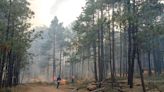 Por incendio forestal ejército activa Plan DN-III en Temósachic