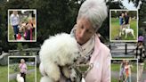 Helston's furry friends shine at family dog show