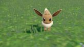 Pokemon Scarlet and Violet Player Spots Something Strange After Hatching Eevee from an Egg
