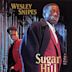 Sugar Hill (1994 film)