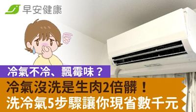 冷氣不冷、飄霉味？冷氣沒洗是生肉2倍髒！洗冷氣5步驟讓你現省數千元