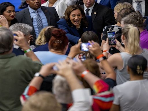 At first rally, Kamala Harris calls Donald Trump 'predator', 'fraudster' and 'cheater'