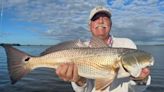 Florida fishing: Thanksgiving forecast features pompano, Spanish mackerel and dolphin