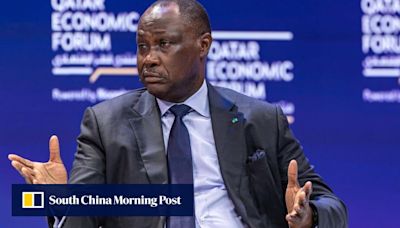 China should look to Africa to counter overcapacity claims, AFC chief says