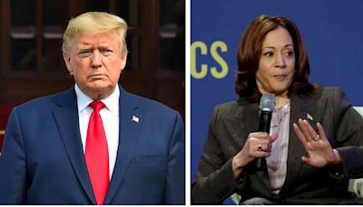 Trump Calls Kamala 'Mentally Impaired', Claims Illegal Immigrants Will 'Cut Throats Of...'