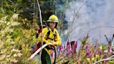 Helicopters and aircraft called in after Clallam County wildfire spreads to estimated 85 acres