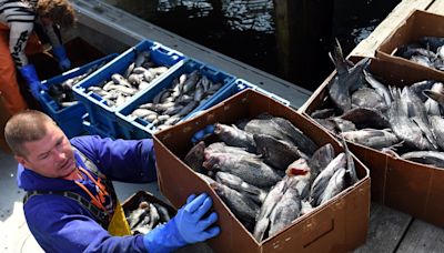 Jersey Shore is witnessing a rapid rise in ocean temps. Why we should all be alarmed.