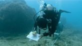 海保署首次攜手潛水教練 「珊瑚特潛聯盟」認養40處棲地 - 生活