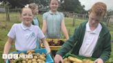 Cornwall children's no dig fruit and veg farm scoops award