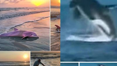 Outer Banks viral images highlight concerns with AI fakes, other misinformation online